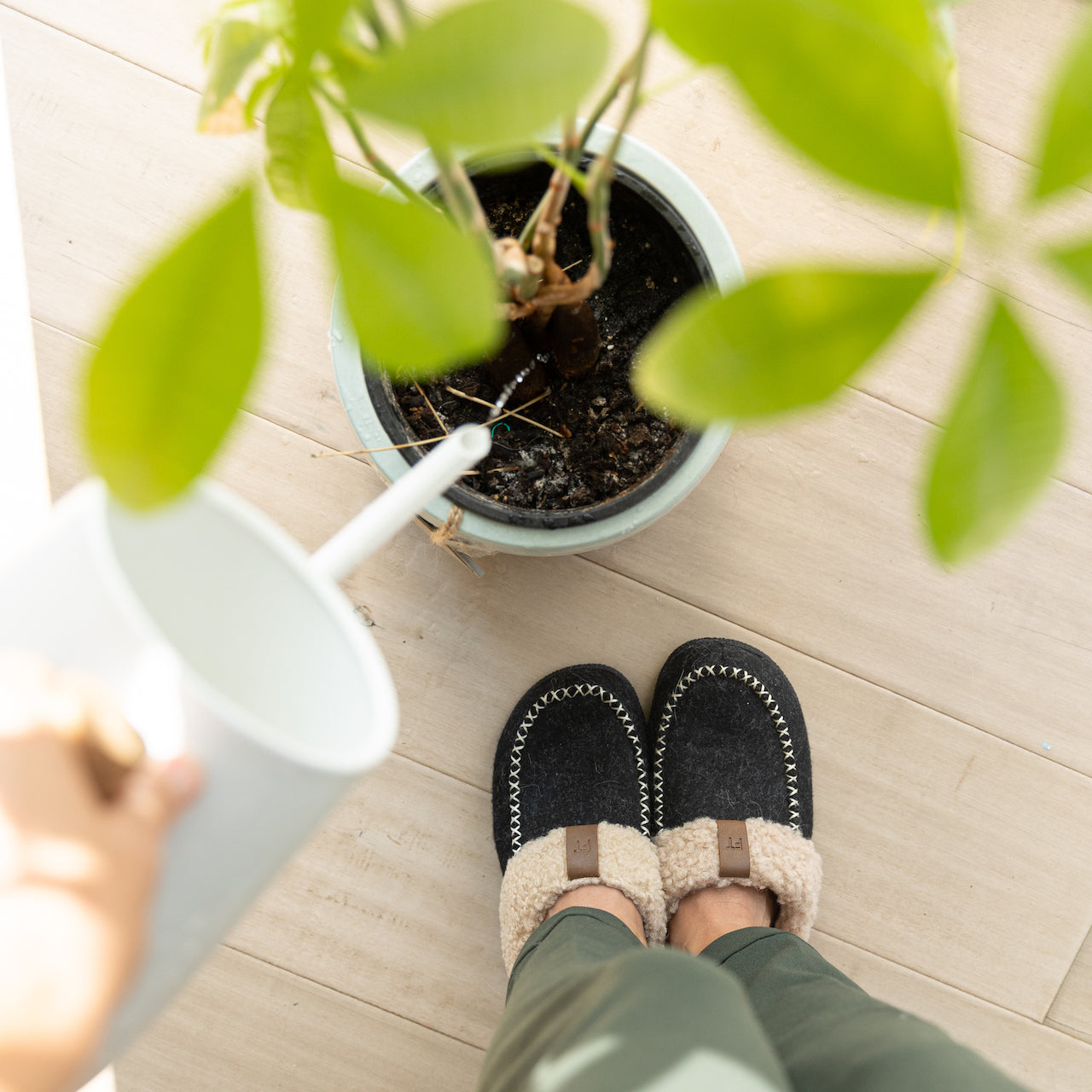 Watering a plant wearing Foamtreads slippers